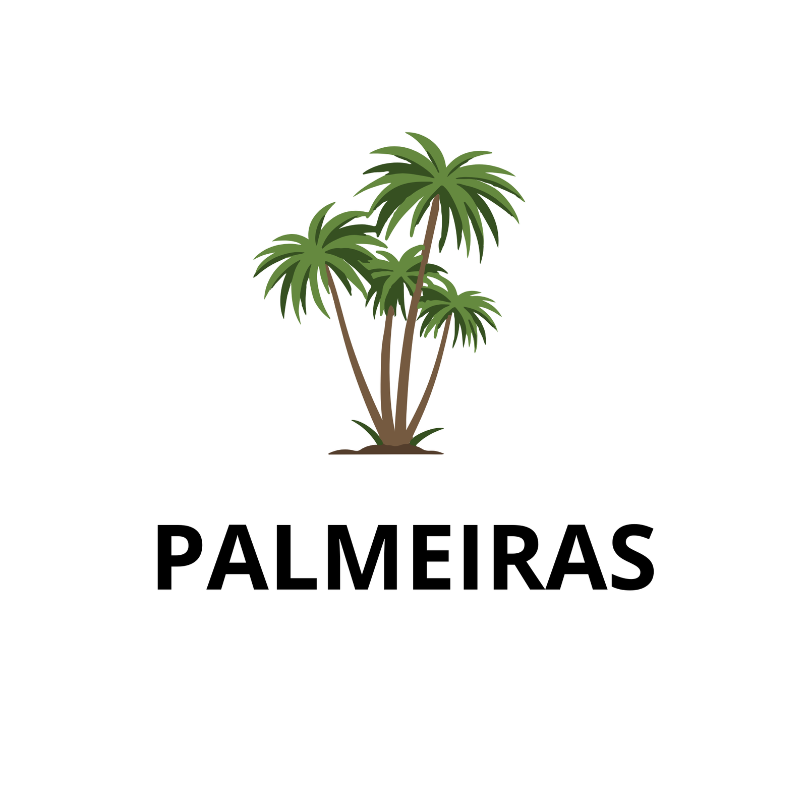 PALMEIRAS