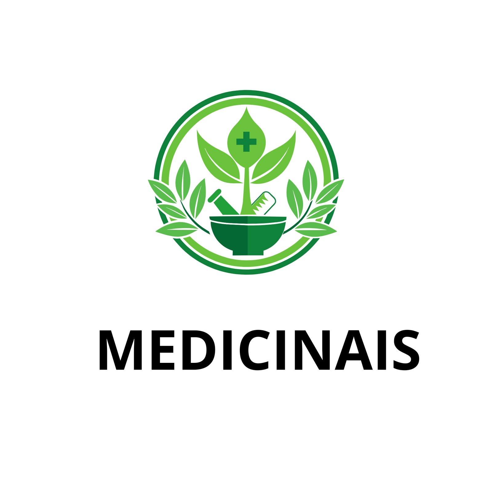 PLANTAS MEDICINAIS