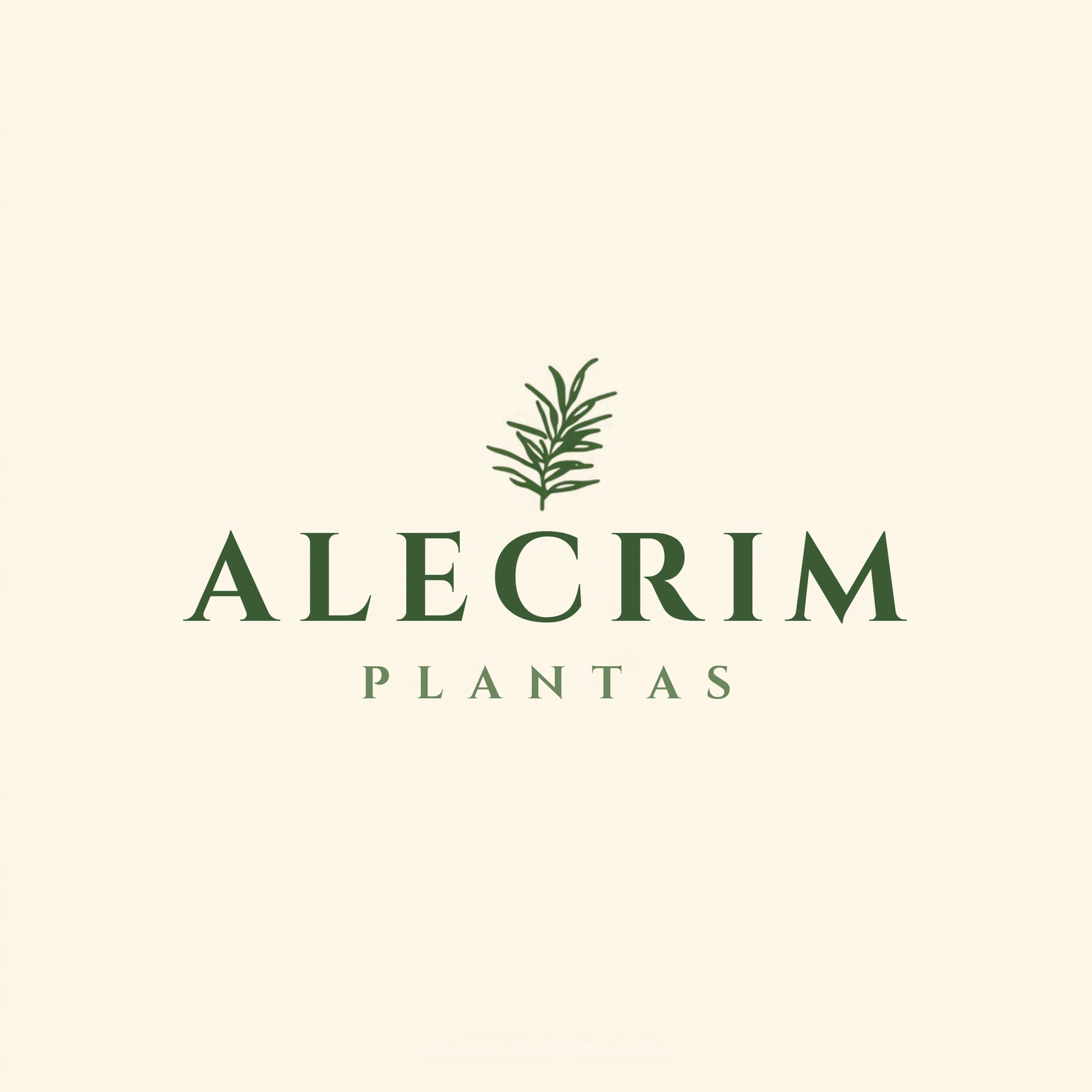 ALECRIM PLANTAS